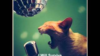 The Go-Katz - I Will Survive - Psychobilly cover of Gloria Gaynor.