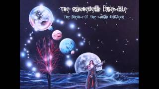 THE PSYCHEDELIC ENSEMBLE - The Secrets of Your Mind (2011)