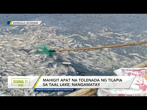 Regional TV News: Fish Kill