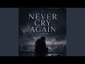 NEVER CRY AGAIN Remix