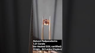 Download lagu Natural Padparadscha 1.21ct Un-Heated (EGL certified) Origin - Sri Lanka (Ceylon)#blue #sapphire mp3 Download lagu Natural Padparadscha 1.21ct Un-Heated (EGL certified) Origin - Sri Lanka (Ceylon)#blue #sapphire mp3