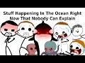 Stuff Happening In The Ocean Right Now That Nobody Can Explain