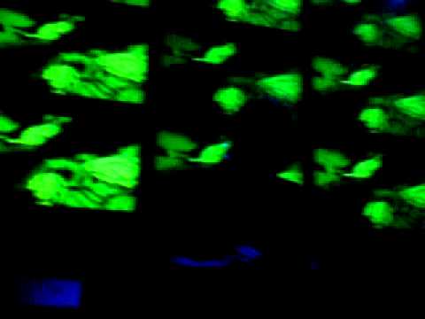 DJ Double S :: Meat Club 14/10/10