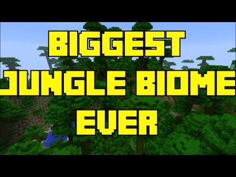 EPIC Minecraft 360 Jungle Biome! 🌴🔥 Best TU12 Seed!