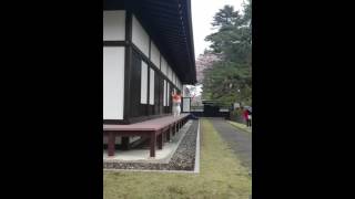 ひこにゃん、まったり登場