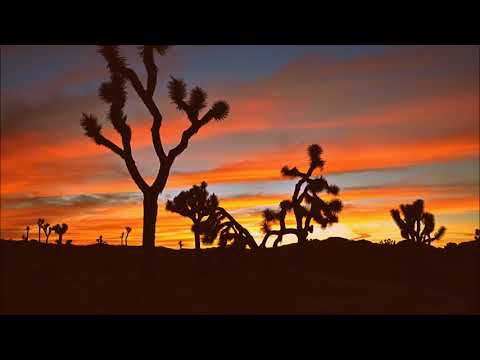 Psychedelic / Stoner / Desert Rock - Playlist 04