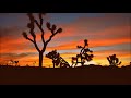 Psychedelic Stoner Desert Rock Playlist 04