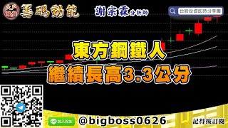 【大戶羅盤籌碼動能】 #謝宗霖0908，東方鋼鐵人繼續長高3.3公分 (圖)
