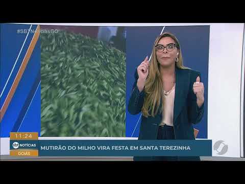 Mutirão do milho vira festa em Santa Terezinha