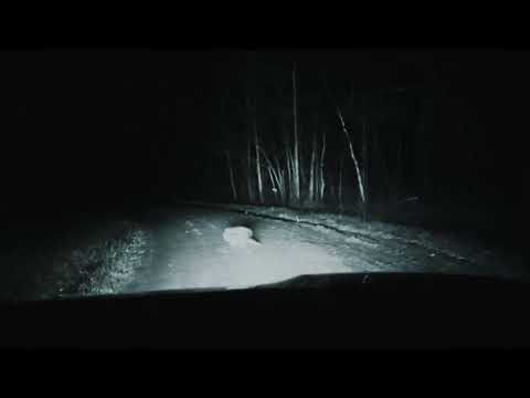 Desiderio | R Frederick - EPISODE NIGHT VII