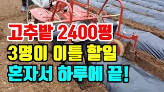 하루에 관리기 휴립피복기로 고추밭 2,400평 비닐씌우기