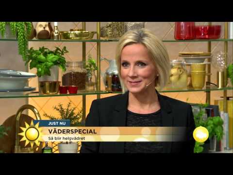 Så blir helgvädret: "Frosthalka" - Nyhetsmorgon (TV4)