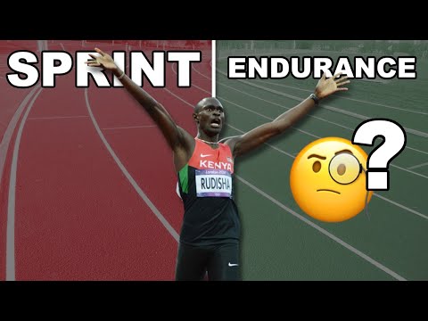 Les 3 Qualités INDISPENSABLES pour Performer sur 800m (Exemples d’Entraînement)