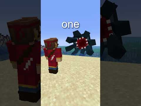 What Happened To The Pirates In Minecraft?