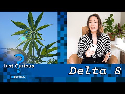 What is delta-8? What to know about 'diet weed' and it's safety. | JUST CURIOUS