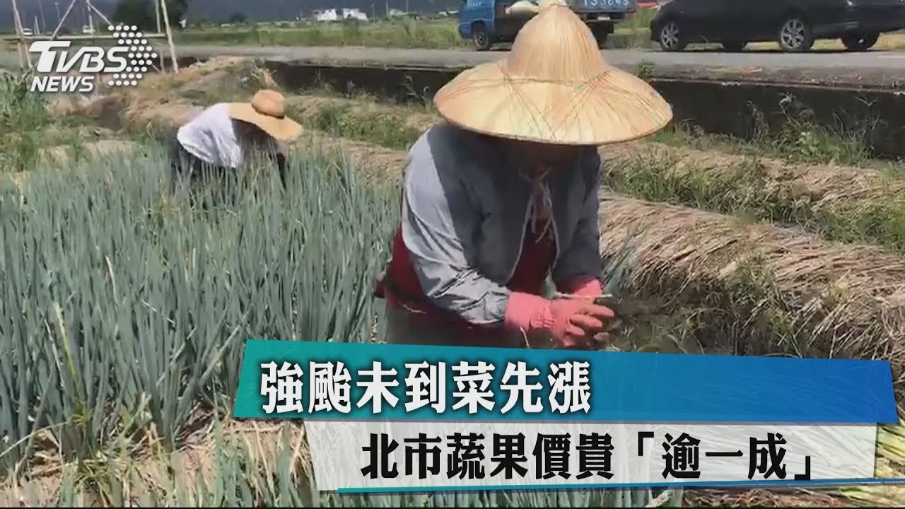 強颱未到菜先漲 北市蔬果價貴「逾一成」