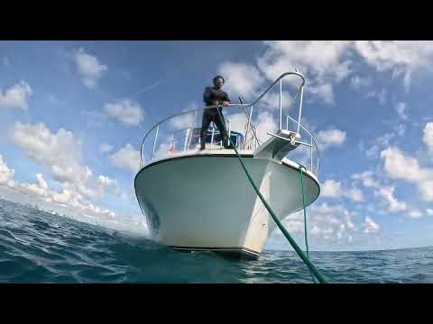 Wreck tie in Proteus