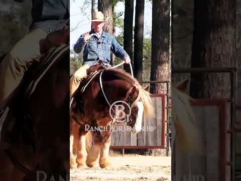 Nice!  #b1 #horsetraining #es20 #horse