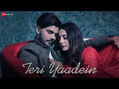 Teri Yaadein — watch video