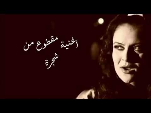 أغنية مسلسل مقطوع من شجرة