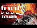 Lateralus TOOL S Magnum Opus