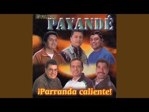 La Puya Guamalera, El Camarón