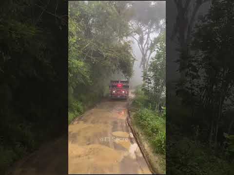 La Chiva de la PAZ y LA AURORA   #orgullocampesino
