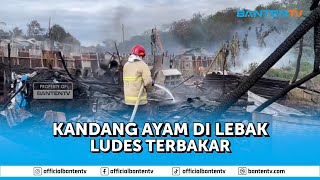 KANDANG AYAM DI LEBAK LUDES TERBAKAR