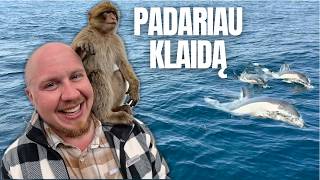 PLAUKĖM Į OLAS - GRĮŽOM SU TRAUMA (IR DELFINAIS)(3)