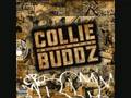 COLLIE BUDDZ/C'DAYNGER- BUN DOWN DI ...