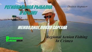 Ловля ставриды в черном море на бомбарду