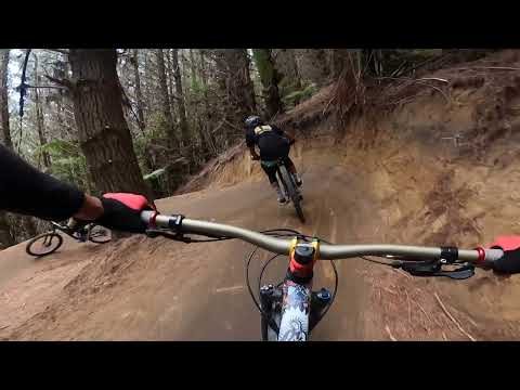 Te Poaka (MTB ROTORUA)