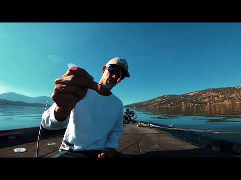 Clear Lake "Quick Tips" with Paul Bailey #1 Weedless Swim Baits