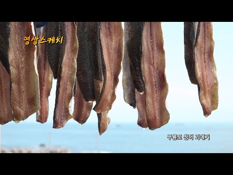 구룡포 청어 과메기