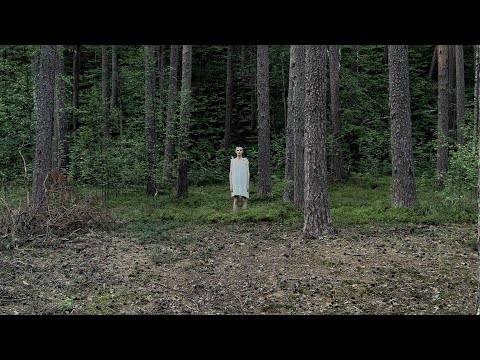 Evgeniy Nikolaev - Peaceful Nothingness (Official Lyric Video)