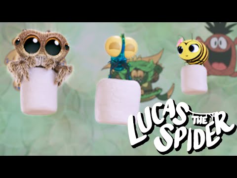 Lucas the Spider's Playtime With Findley and Friends + More Cartoons for Kids