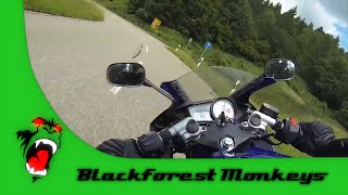 preview picture of video 'Yamaha YZF R125 Schwarzwald - Blackforest Monkeys 2014'