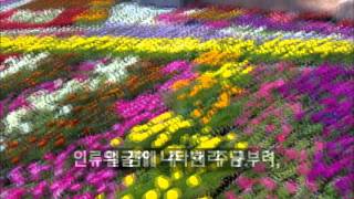 주 은혜 충만해   Fullness of Grace - 번역