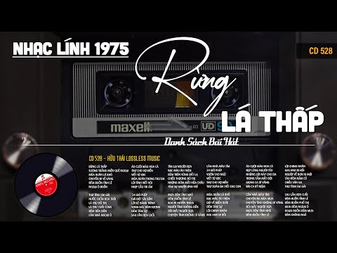 [CD528] Mở Nhẹ Nhàng Lk Nhạc Vàng Hải Ngoại Xưa Bất Hủ Còn Mãi Theo Thời Gian| Hữu Thái Lossless