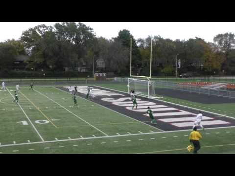 sebi shot vs stienmetz