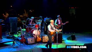 Elvis Costello Performs &quot;It Must Have Been The Roses&quot; at Gathering of the Vibes