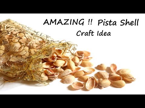 AMAZING Pista Shell Crafts Idea | Pistachio Shell Craft | Best Out of Waste Video