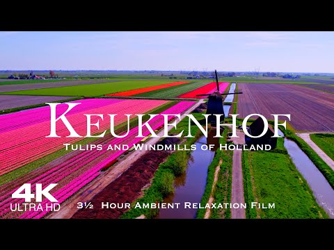 [4K] KEUKENHOF 2026 🇳🇱 AMSTERDAM 3½ Hour Drone Aerial🌷World's largest Tulip Fields, The Netherlands