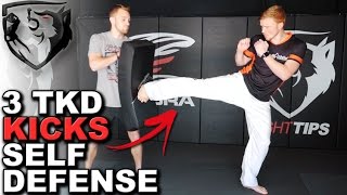 3 Taekwondo Kicks for Self Defense: Ginger Ninja Trickster