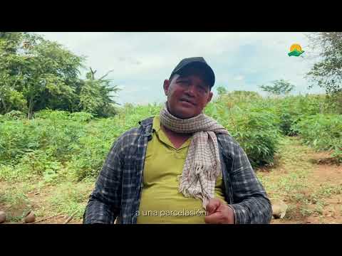 1.135 hectáreas entregadas a 118 familias de Chimichagua Cesar.