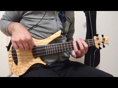 Stradi mini bass demo (Bass cover with uFurya)