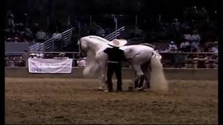 El corrido del caballo blanco Vicente Fernández