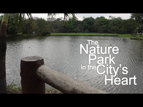 WILDLIFE CENTER | Keziah's TV