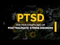 PTSD The Five Symptoms Of Posttraumatic Stress Disorder