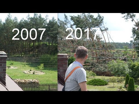 Nawałnica z 11.08.2017, Wolica Kozia, Dębno, Klęka